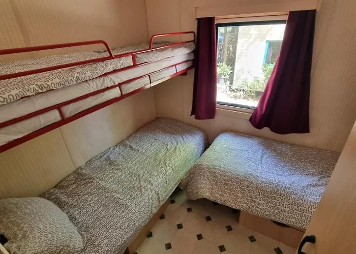 L'orée Des Cévennes Camping Saint-Jean-de-Valériscle
